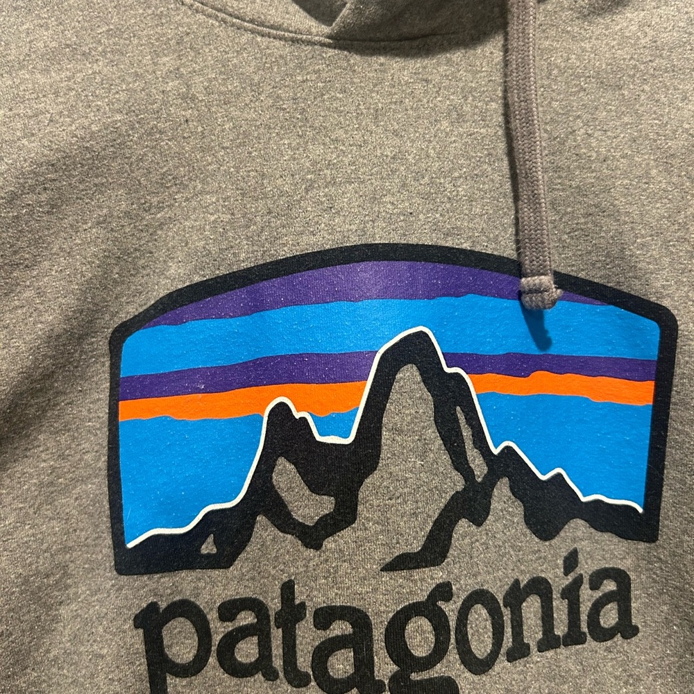 Patagonia Gray Hoodie with Logo - Picture 2 of 6